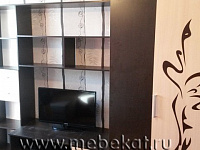 Гостиная Мечта (орхидея)