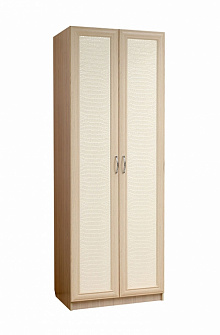 Шкаф 2-х дверный для платья Визит-16